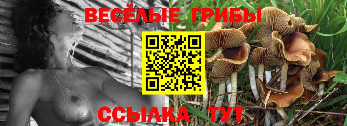 Галлюциногенные грибы ЛСД Новоалтайск