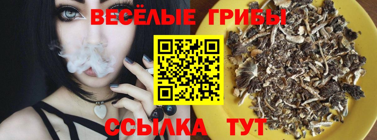 Псилоцибиновые грибы Cubensis  Вход с VPN  Новоалтайск 